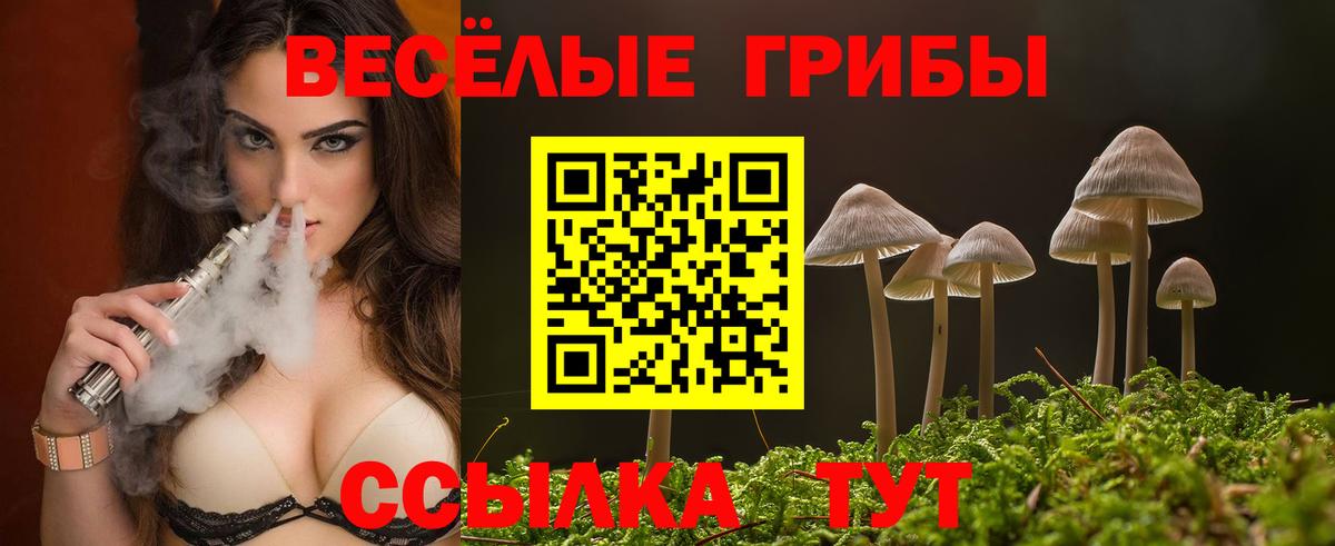 сколько стоит  Псилоцибиновые грибы мицелий  Вход с VPN  Карпинск 