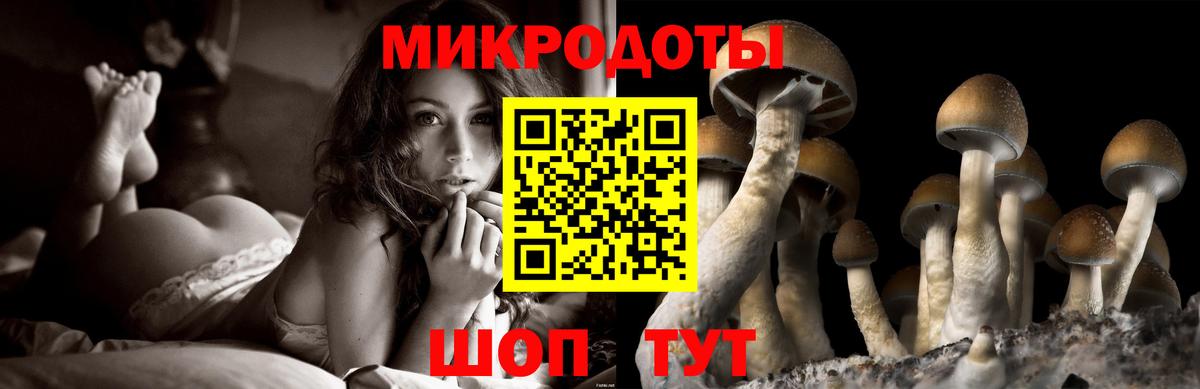 Галлюциногенные грибы ЛСД Карпинск